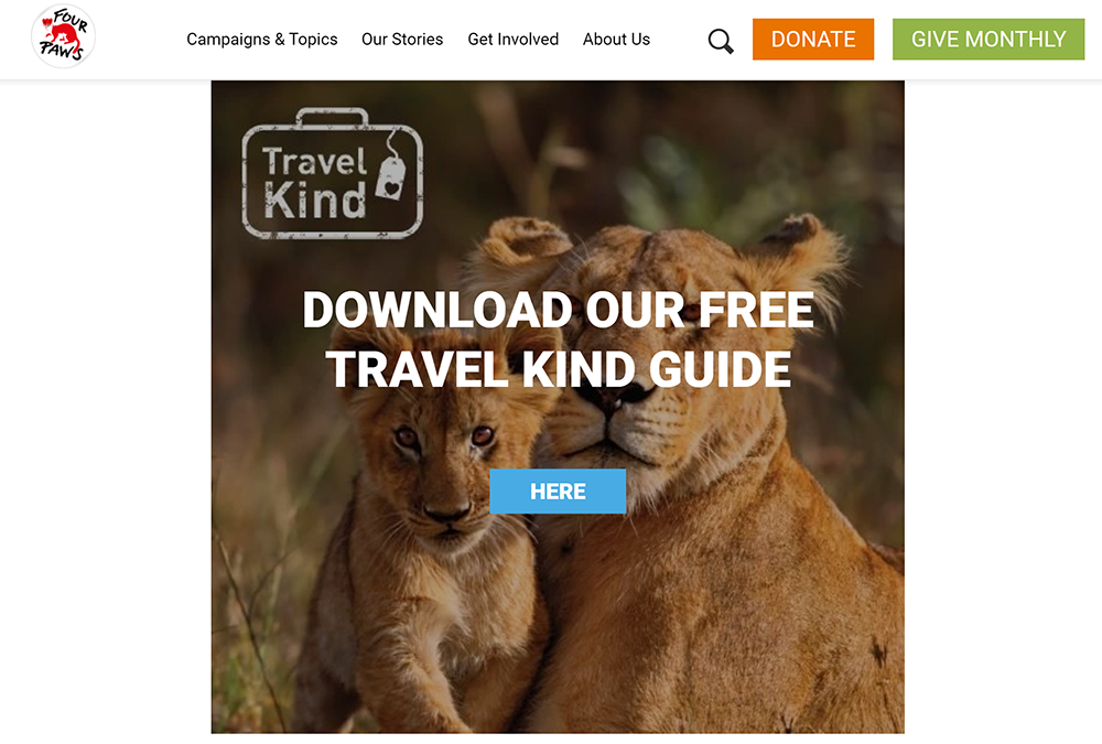 four paws landing page xample
