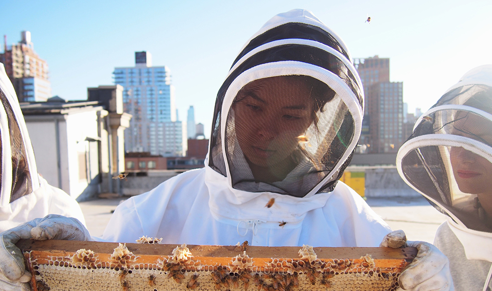 NYC Beekeepers Association